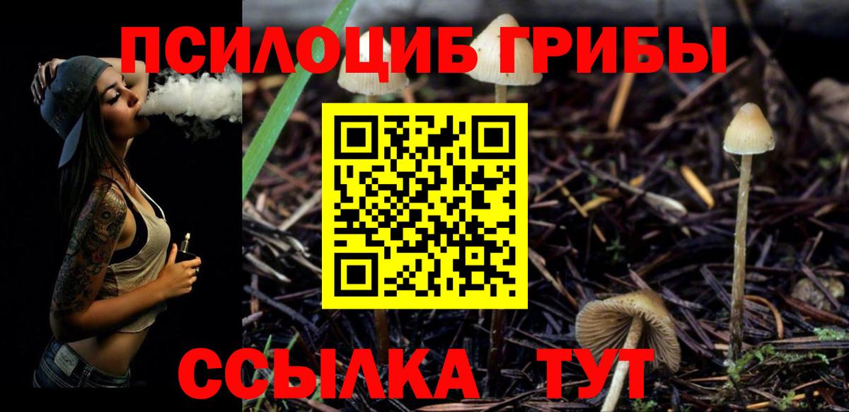 Псилоцибиновые грибы Cubensis  Вход с VPN  Красноярск  Псилоцибиновые грибы мухоморы 