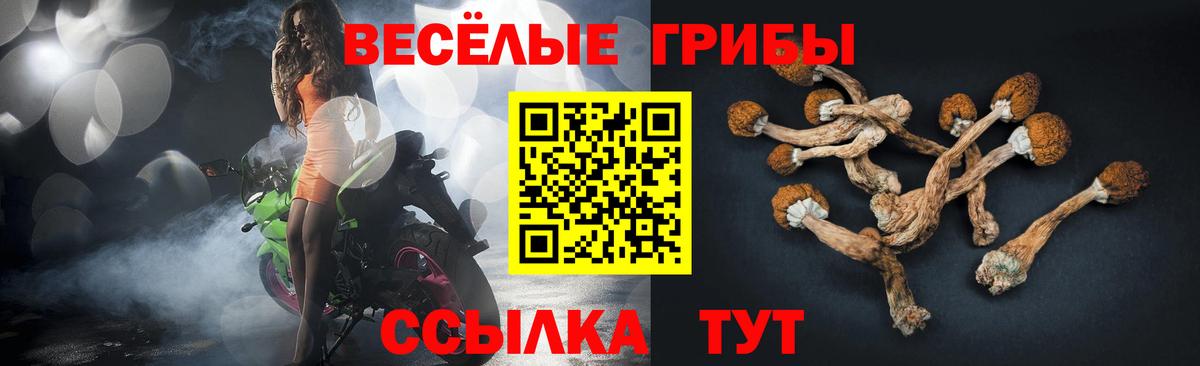 Галлюциногенные грибы прущие грибы Красноярск
